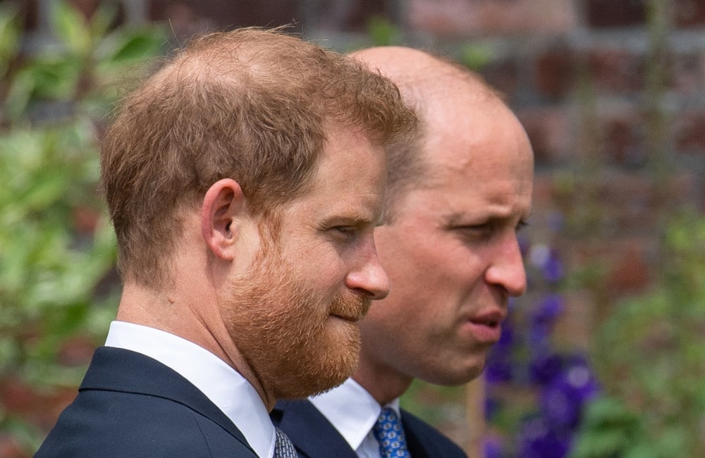Princes Harry and William – Diana statue unveiling – Avalon Princes Harry and William - Diana statue unveiling - Avalon