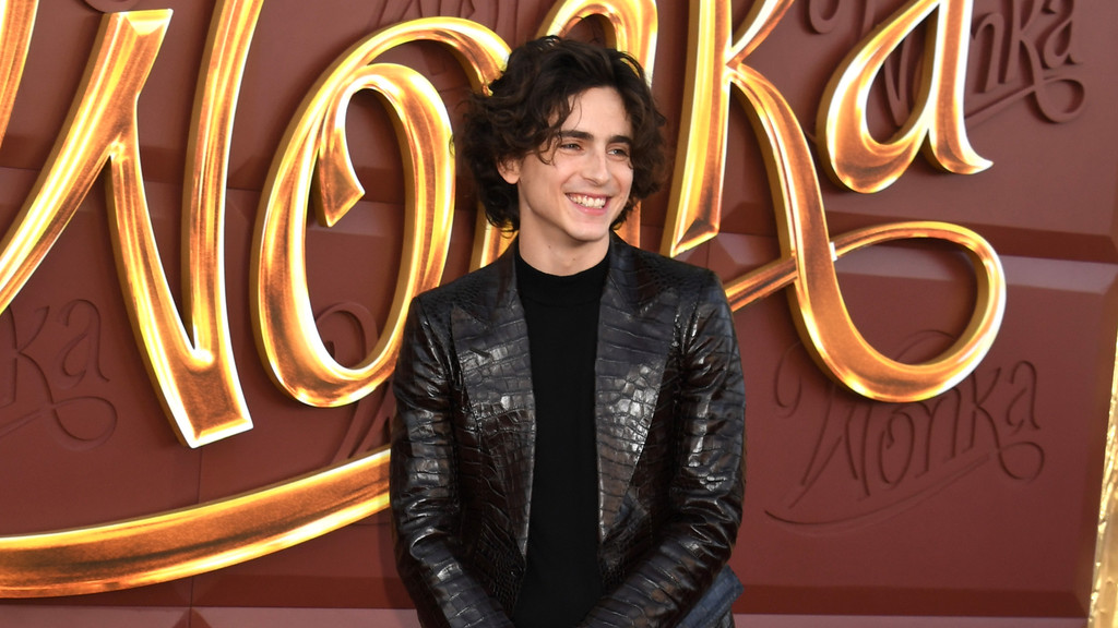 Media Punch/INSTARimages Timothée Chalamet