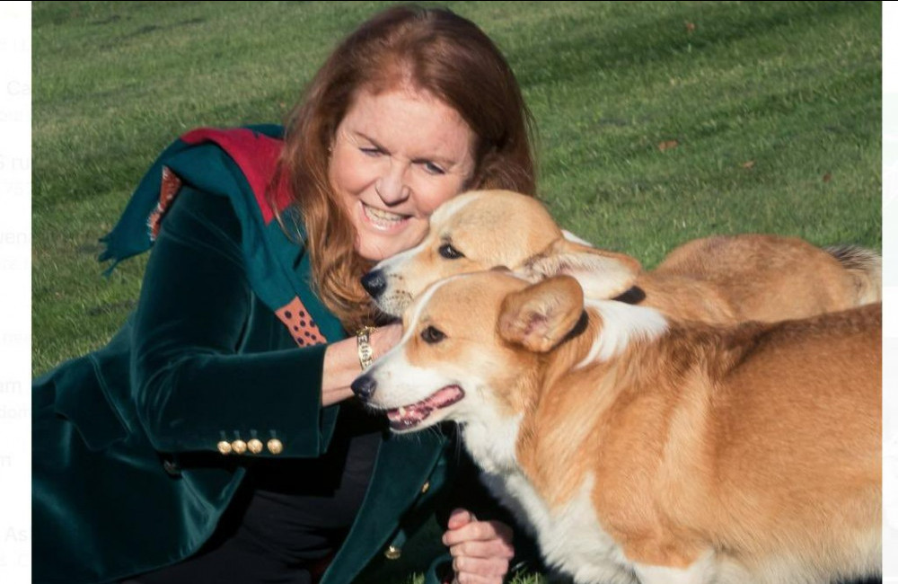 Sarah Ferguson - October 2022 - Queen's corgis - Twitter - ONE USE